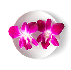 18.-Decorative-Orchids
