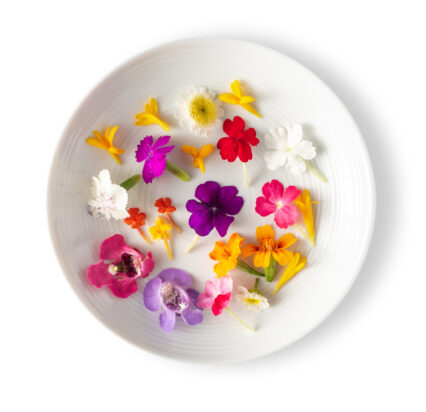 Micro-Flowers-Blend-426x412