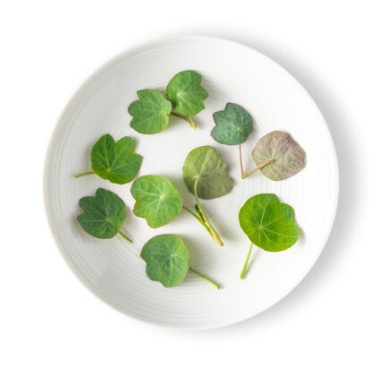 Micro-Nasturtium-Leaf-426x412