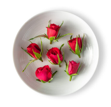 Rose-Little-Red-Corvette™-426x412