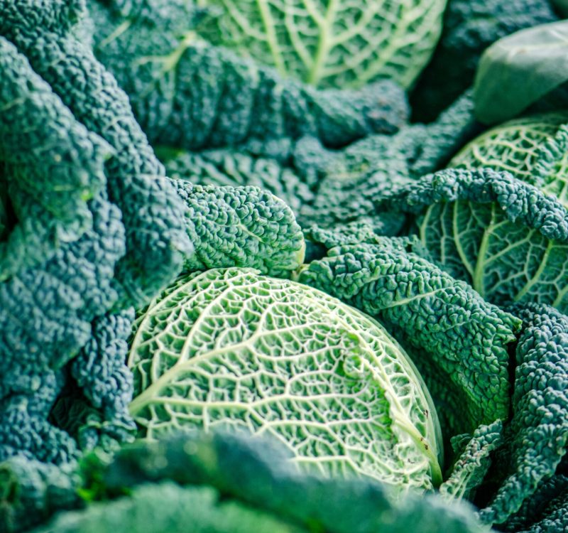 natasha-skov-Peg7qu-cAUI-unsplash